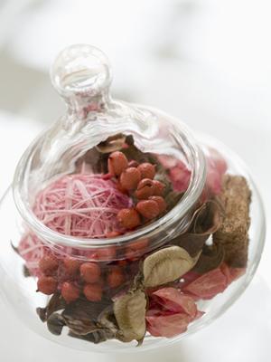 アイドル応援の新定番！お気に入りをサポートする特別アイテムとは？