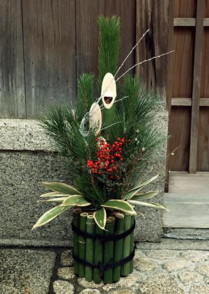 ガチャガチャの森：楽しいコレクションとお得な情報が満載の遊び場